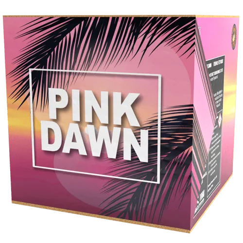 Pink Dawn