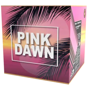 Pink Dawn
