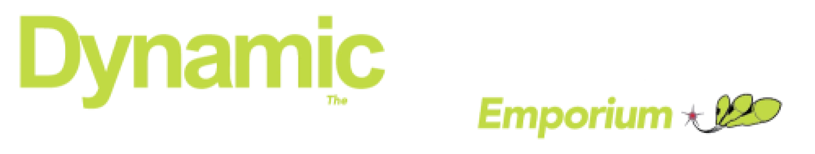 Dynamic Fireworks logo